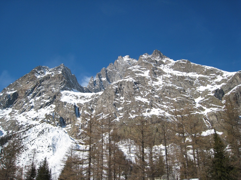 35625-camp2009-018.jpg