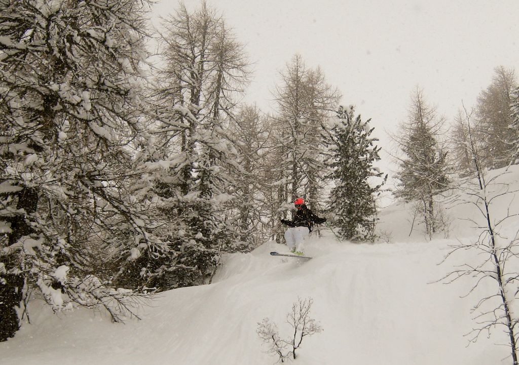 35831-img6887-1024x768.jpg
