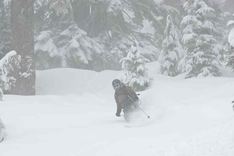 36756-cat-ski-whistler-042.jpg