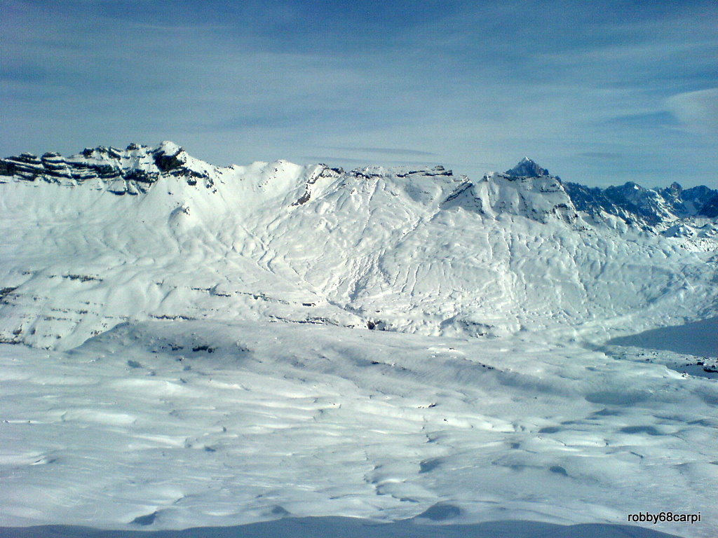36833-dsc00444.jpg