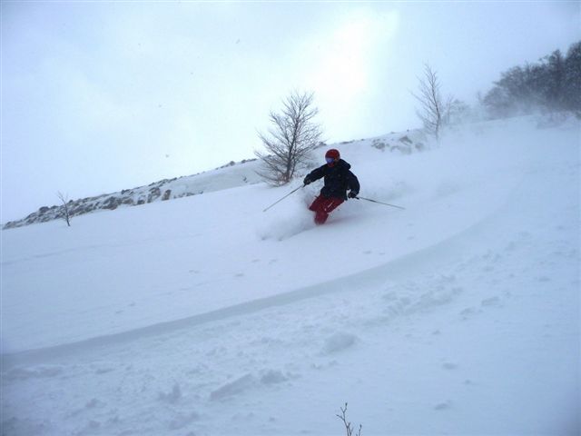 37177-p1000667exp.jpg