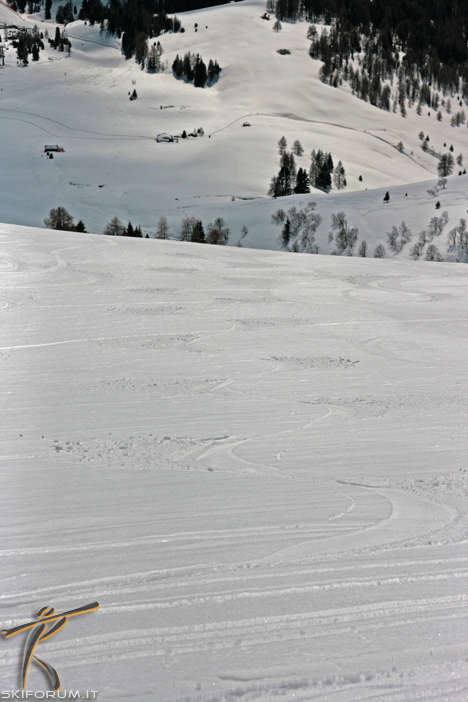 37820-neve-firn-traccia-bellamonte.jpg