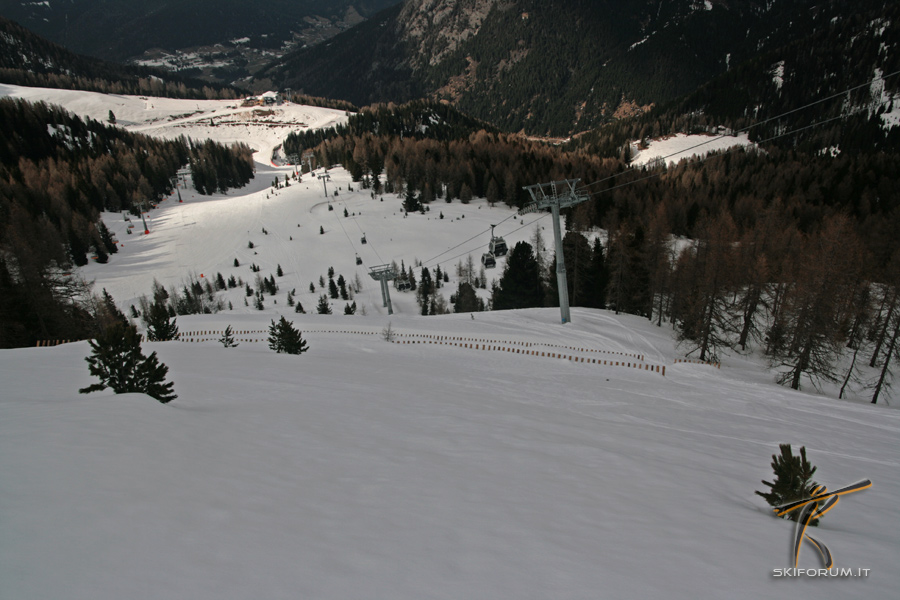 37830-boschetti-piavac.jpg