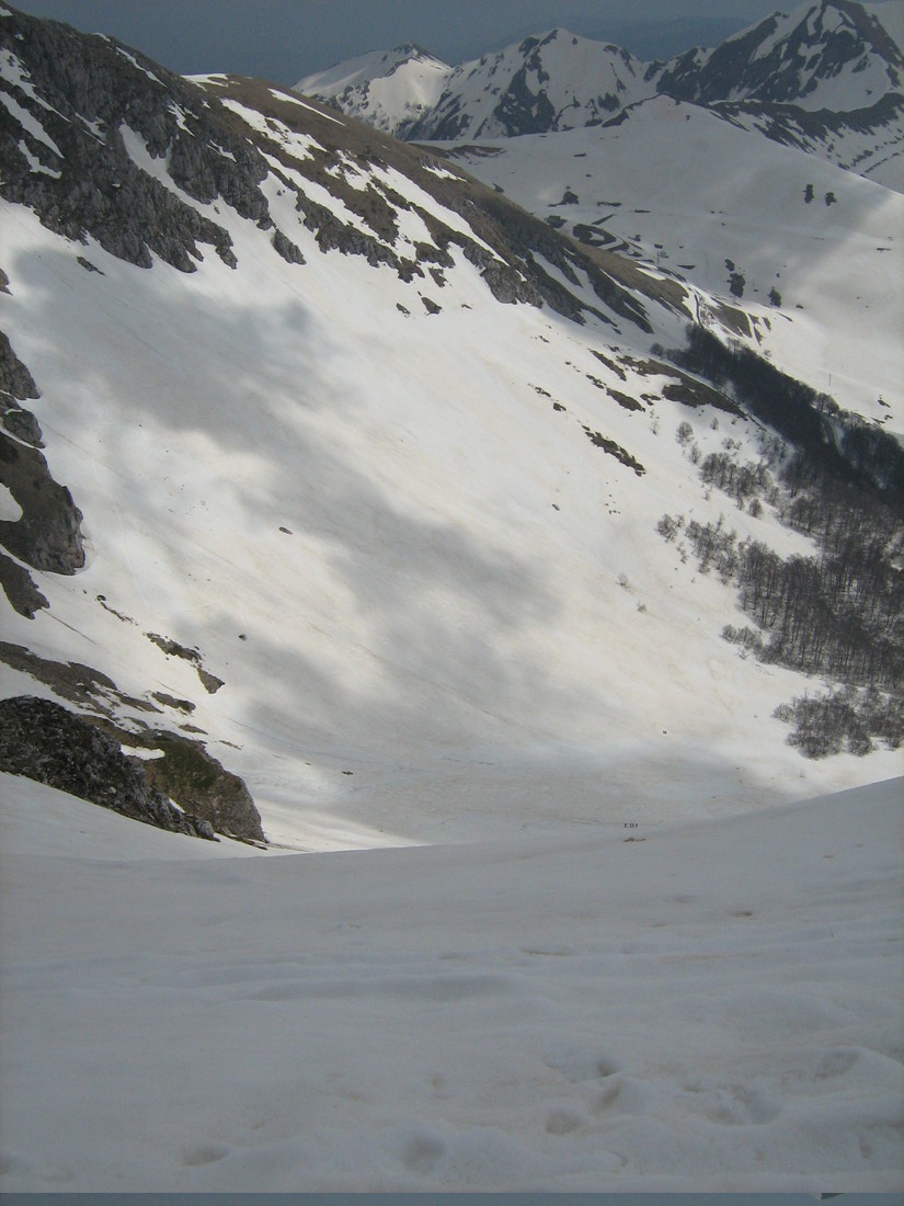 38331-img0284.jpg