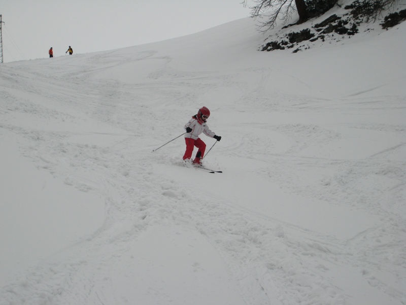 38709-ltpasqua2009-118.jpg