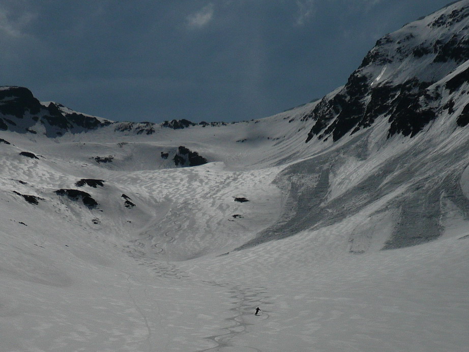 39650-firnrdx.jpg