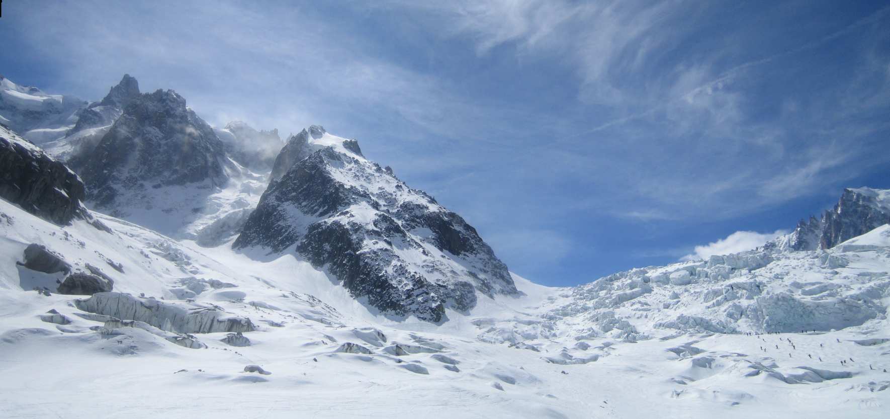 39875-031-panoramica-con-formiche.jpg