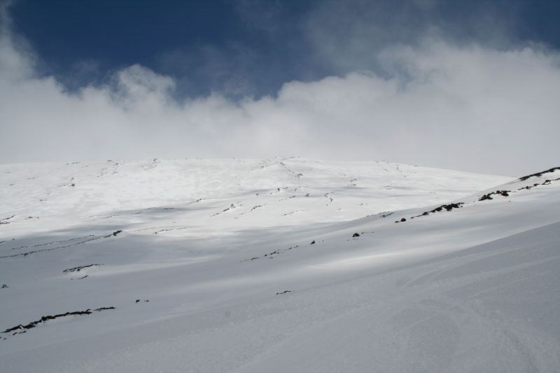 40068-010.jpg