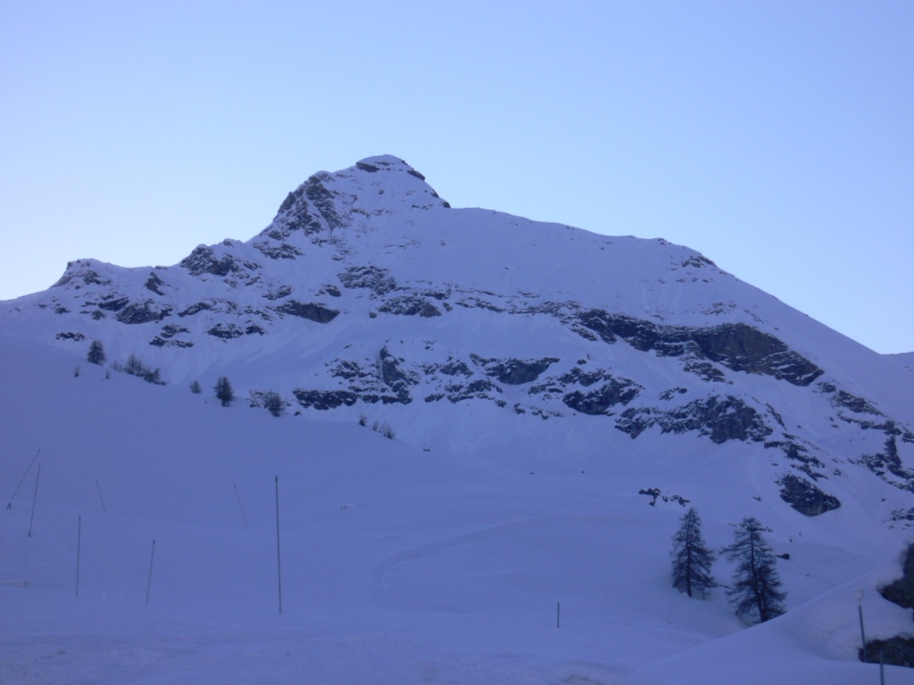 40140-testa-grigia-al-risveglio.jpg