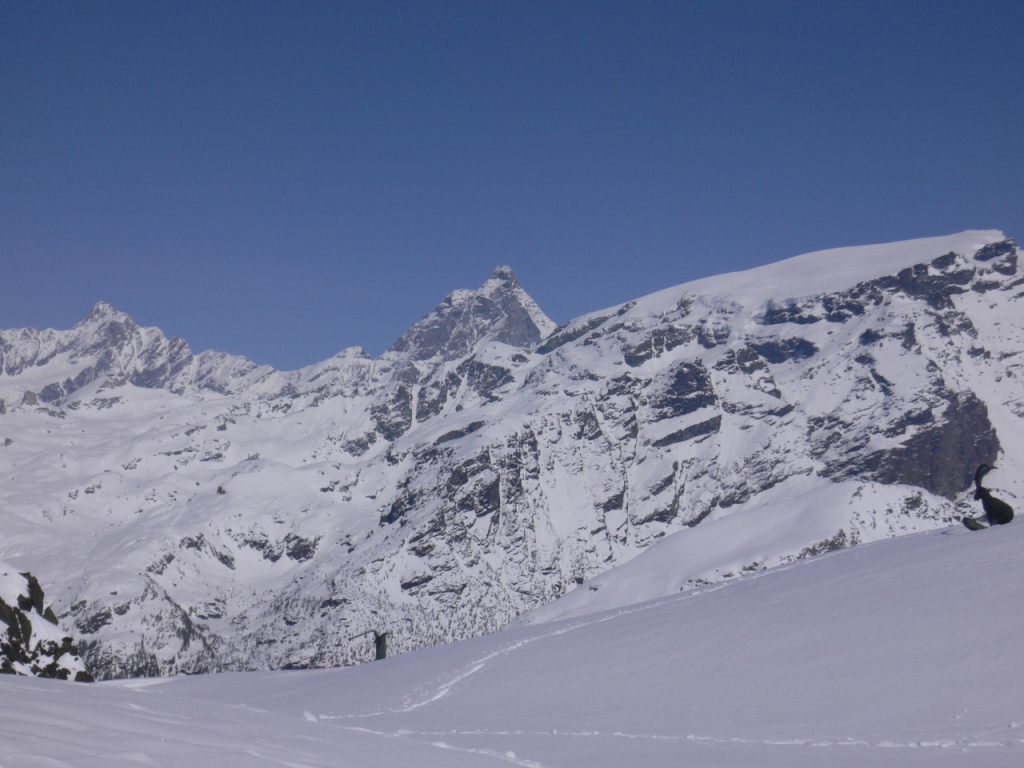 40144-gobba.jpg