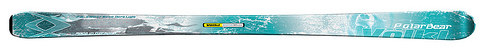 40292-polar-bear-02.jpg