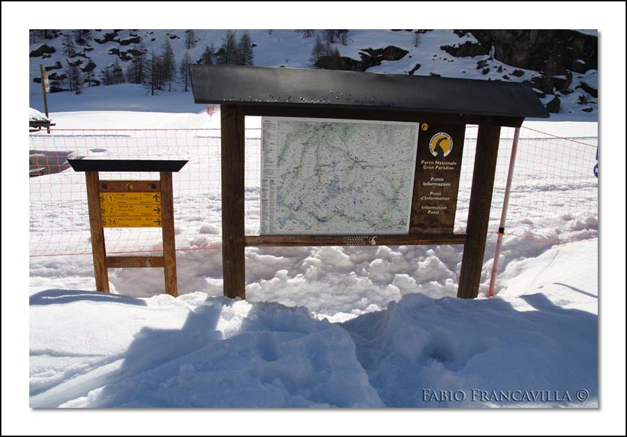 40295-20090502rigrandetret02.jpg