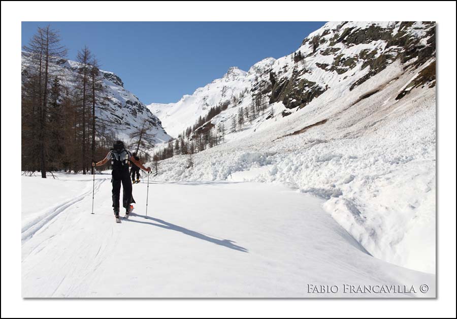 40301-20090502rigrandetret07.jpg