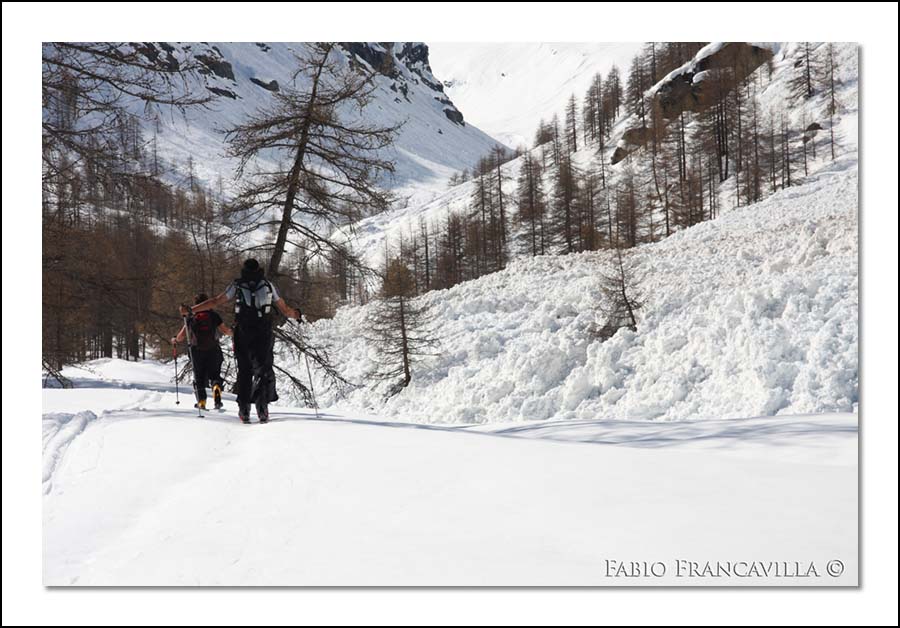 40303-20090502rigrandetret09.jpg