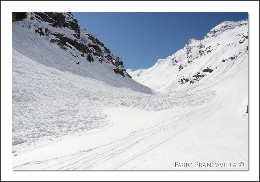 40305-20090502rigrandetret11.jpg