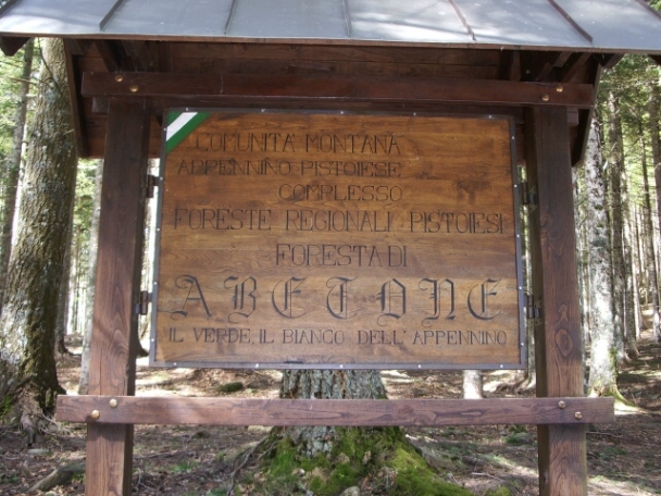 40506-imgp2155.jpg