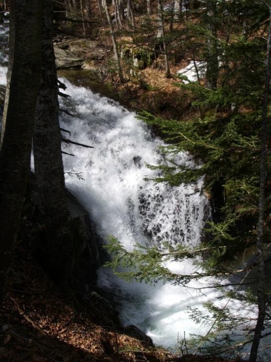 40516-imgp2151.jpg