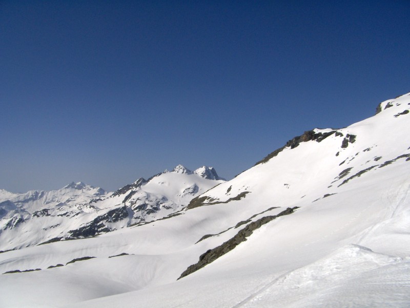 41196-05ferre.jpg