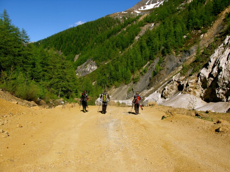 41433-img1335.jpg