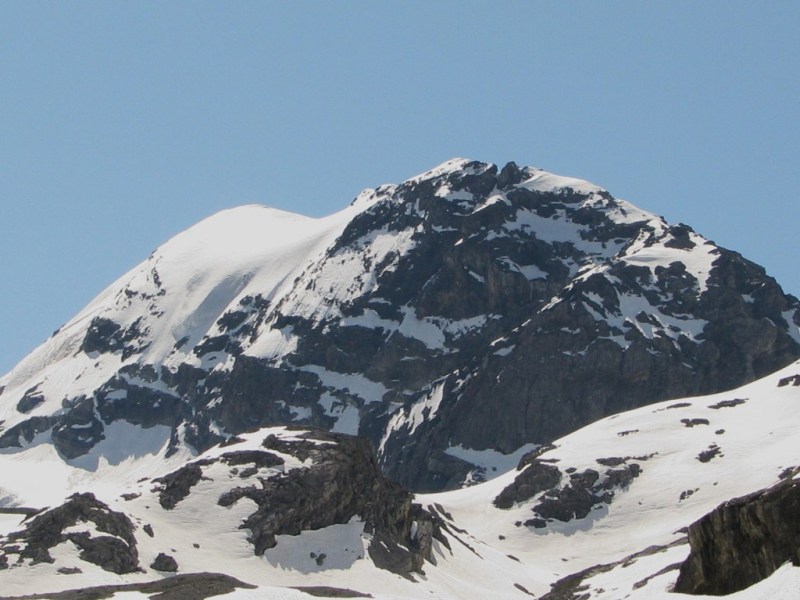 41447-img1736.jpg
