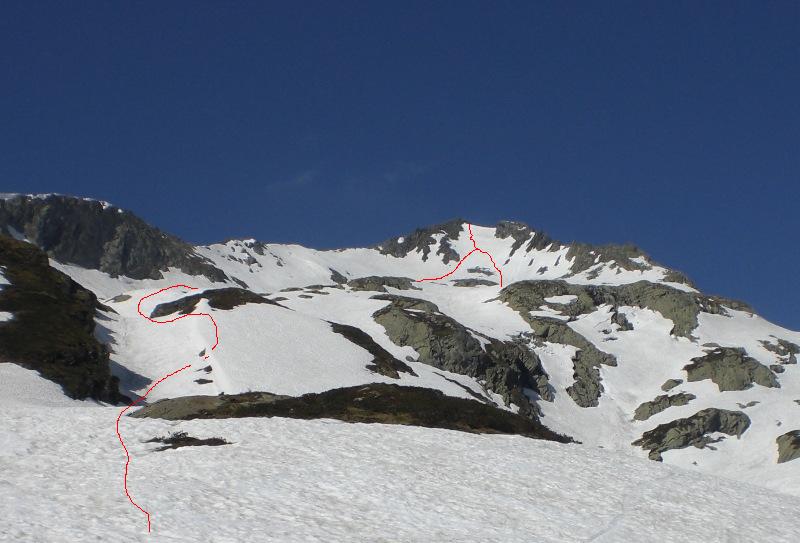 41597-lineatamborello.jpg