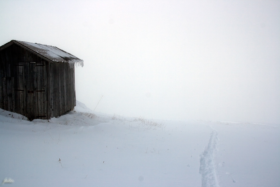 44931-intimita-dolomiti.jpg