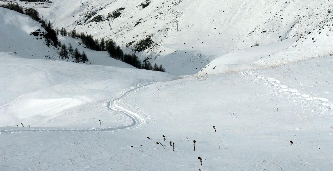 44968-015cervinia.jpg