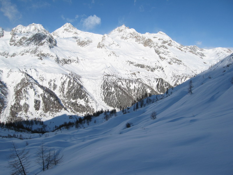 46311-img3783ridimensionare.jpg