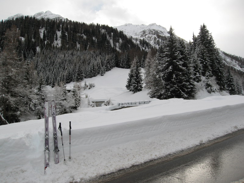 46320-img3797ridimensionare.jpg