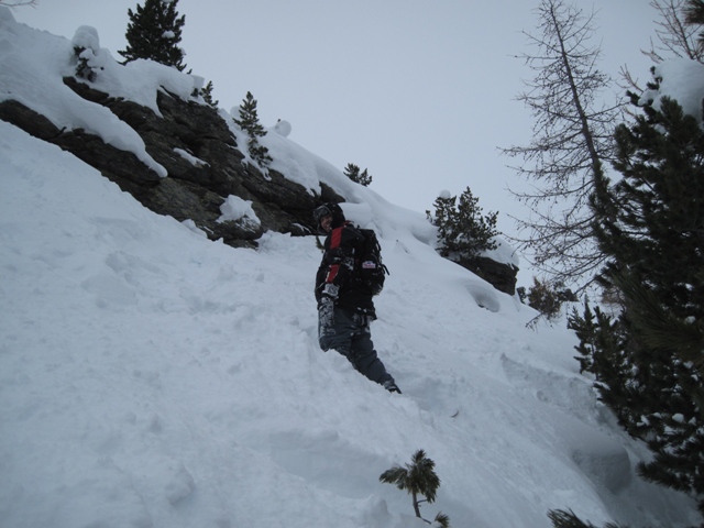 46347-img00538.jpg