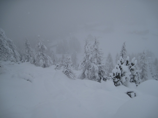 46352-img0080.jpg