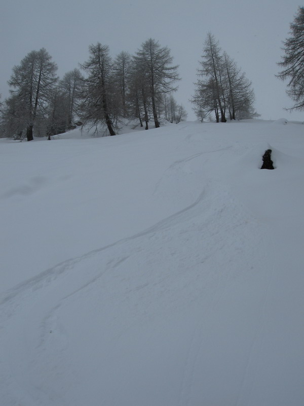 46597-img3805ridimensionare.jpg