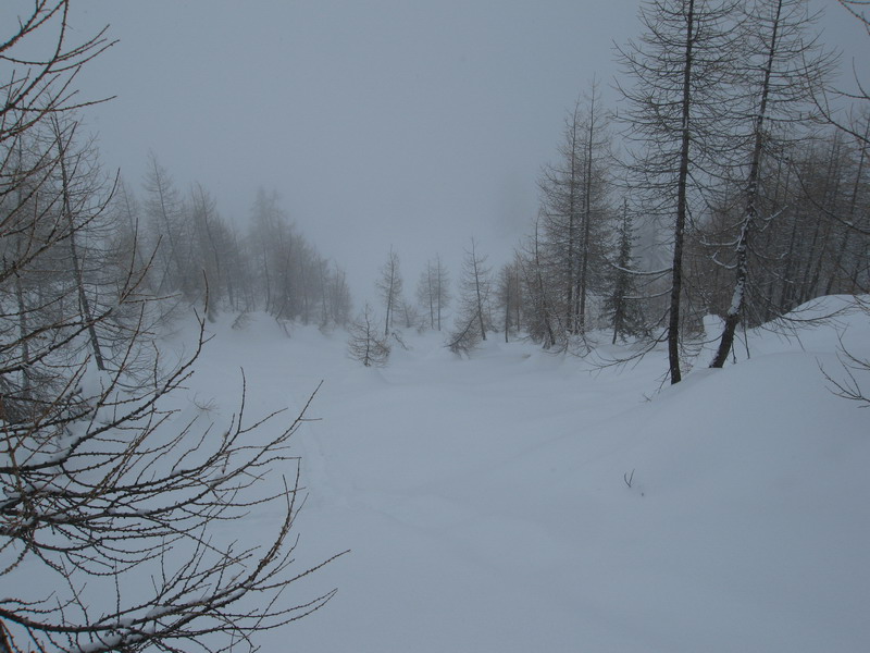 46598-img3803ridimensionare.jpg