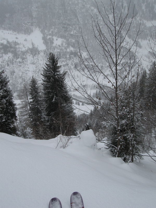46599-img3806.jpg