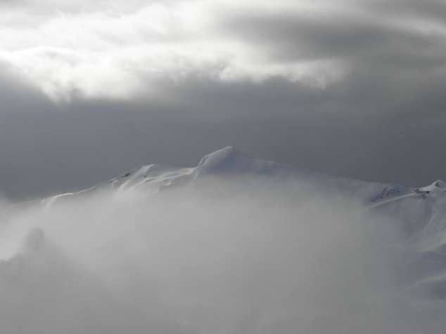 47041-monti.jpg