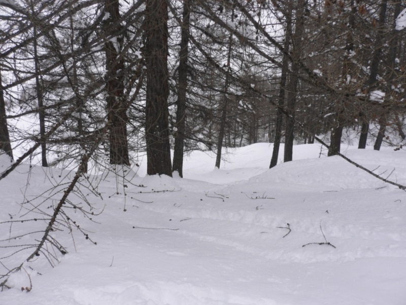 47340-p1070843.jpg