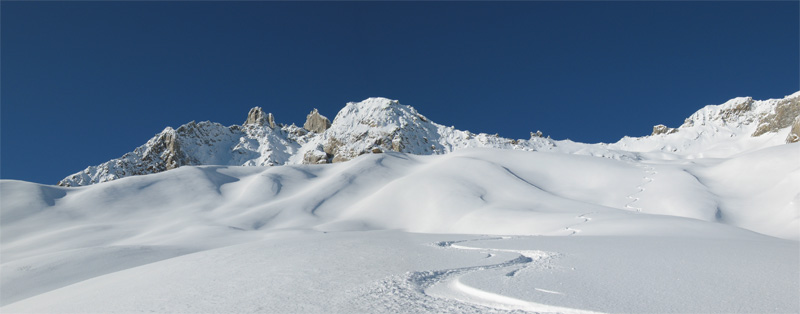 47781-pesciora.jpg