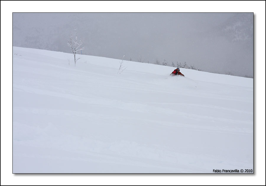 47885-20100109limone17.jpg