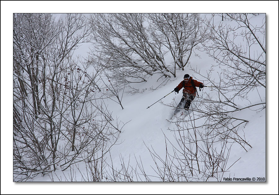 47886-20100109limone19.jpg