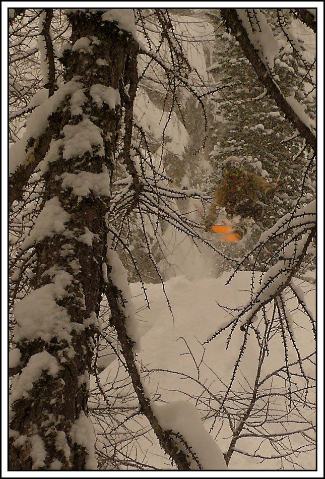 Nanaccio salta nei boschi del Piz Boè