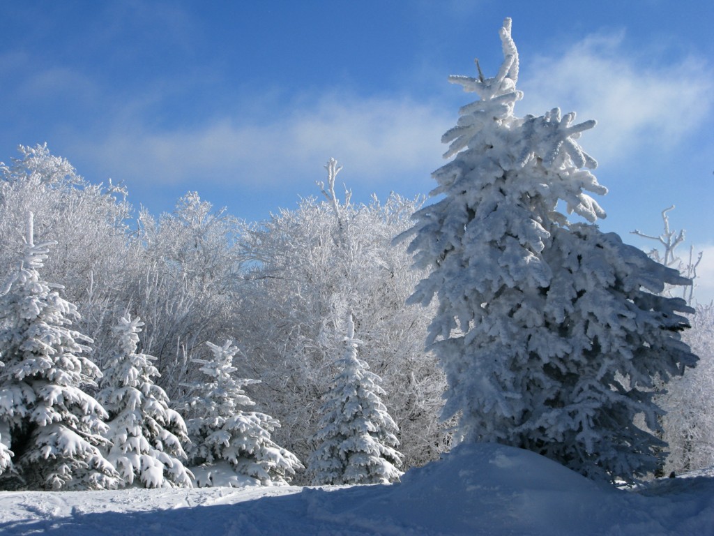 48208-img3344-1024x768.jpg