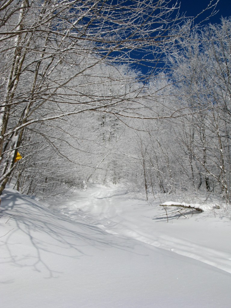48210-img3348-1024x768.jpg
