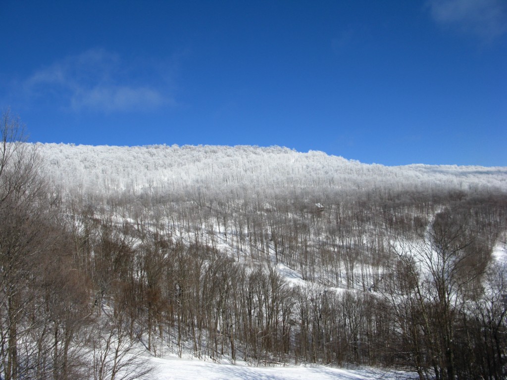 48212-img3352-1024x768.jpg