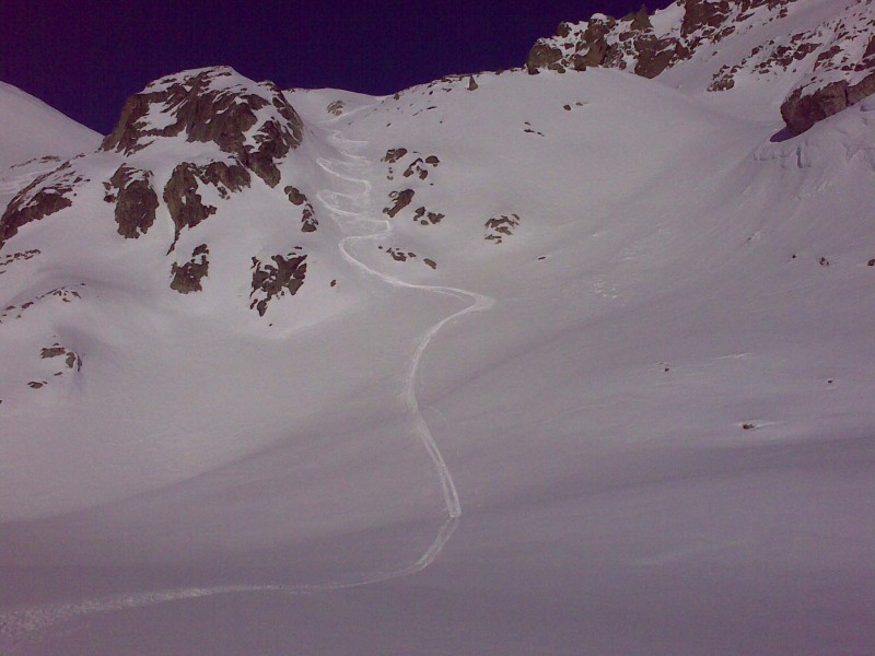 48411-la-mia-firma.jpg