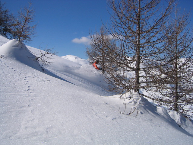 48632-monesi120206garlenda12033.sized.jpg