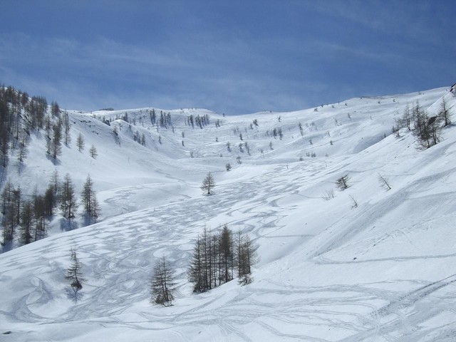 48633-iltombino.sized.jpg
