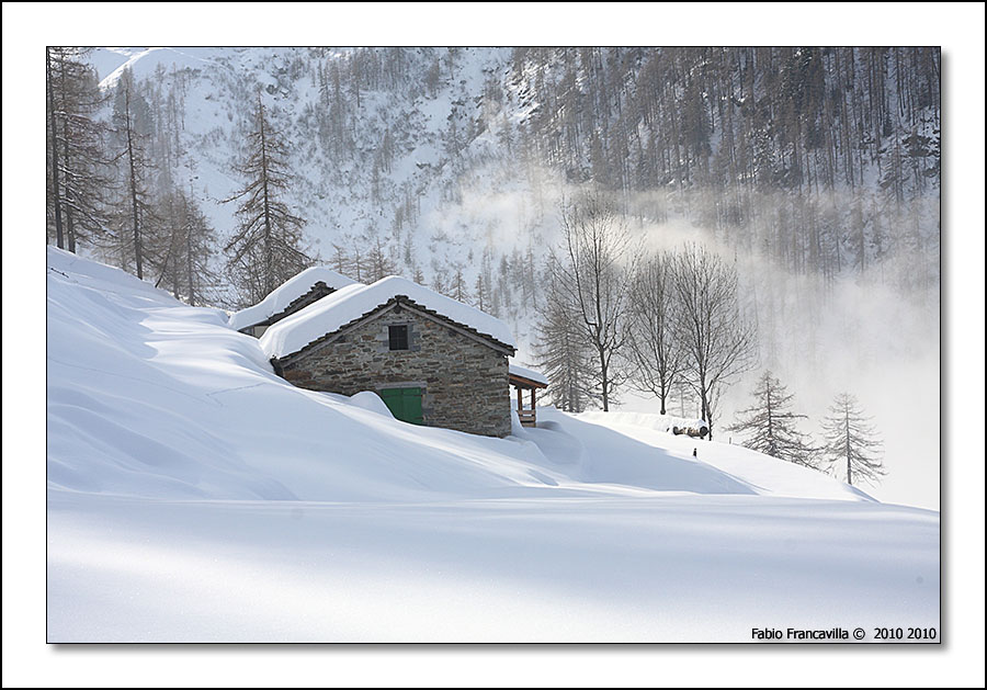 48714-colgiassit05.jpg