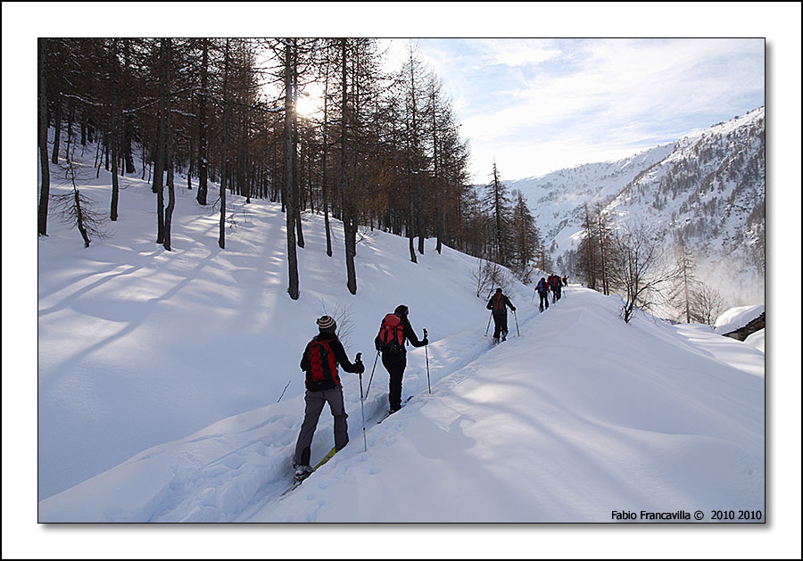48715-colgiassit06.jpg