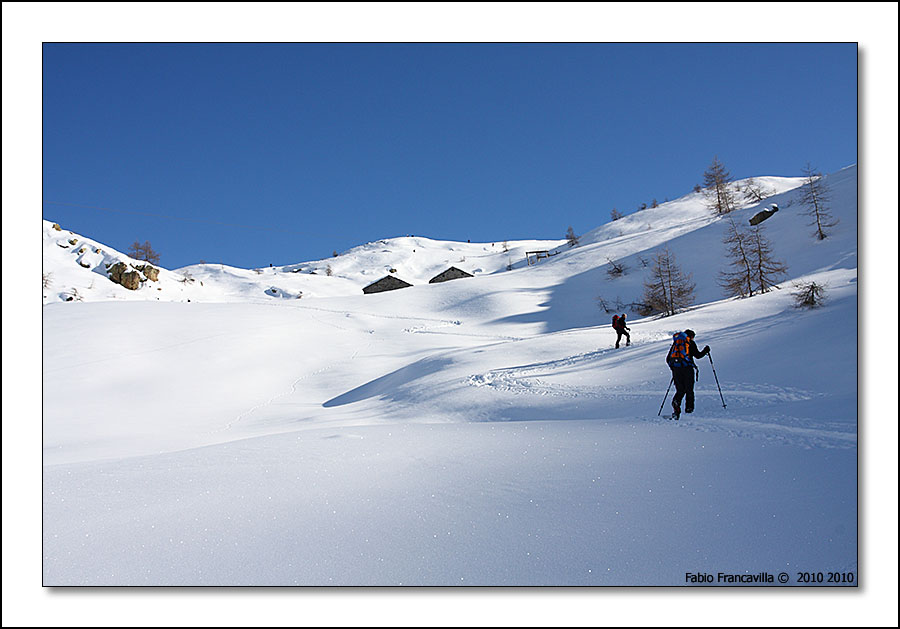 48716-colgiassit08.jpg