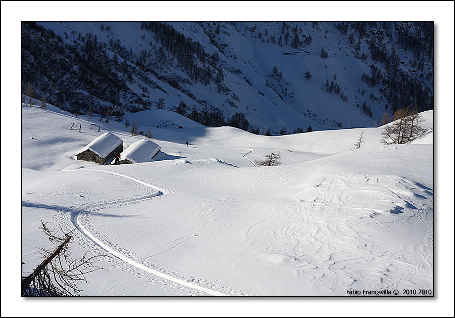 48718-colgiassit09.jpg